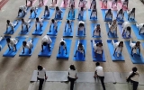 Yoga Day 2025 5